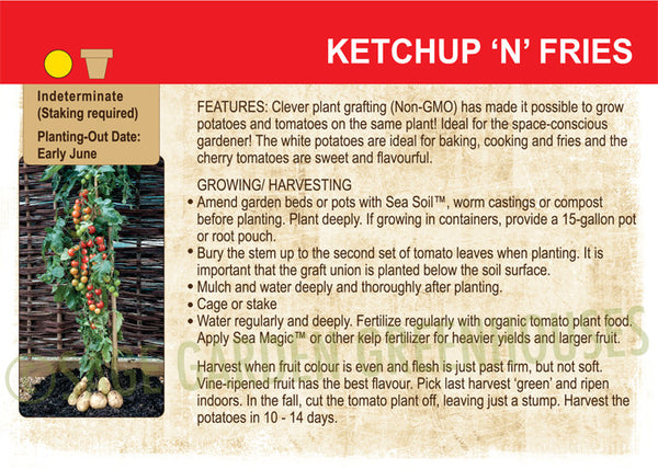 Ketchup N' Fries Plant at Sage Garden