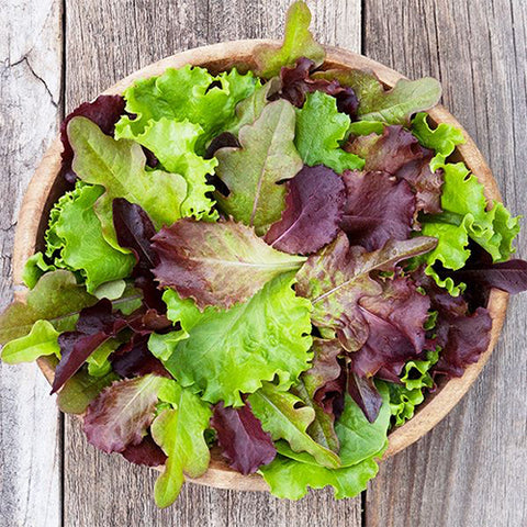 Lettuce (Blend), DMR (Certified Organic Seeds)