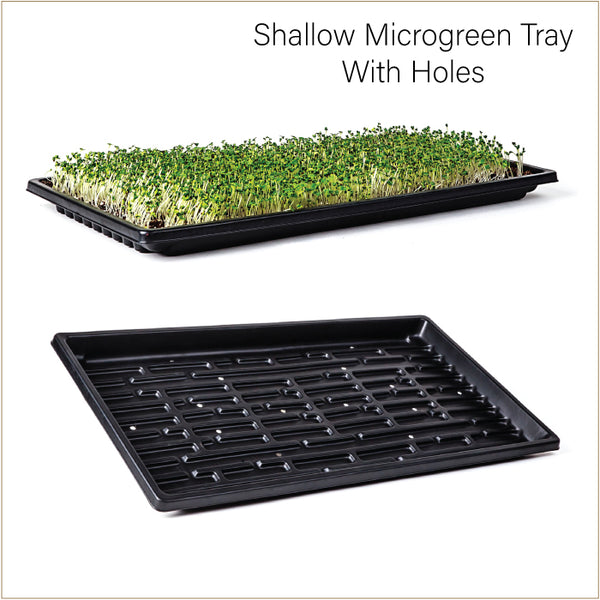 Sunblaster™ Shallow Double Thick 1020 Microgreen Tray - With Drainage Holes