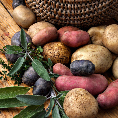 Seed Potato - Grower's Mix (Certified Organic)