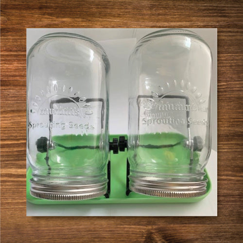 Sprouting Kit Double JARS, TRAY, STANDS, STAINLESS STEEL LIDS Sage