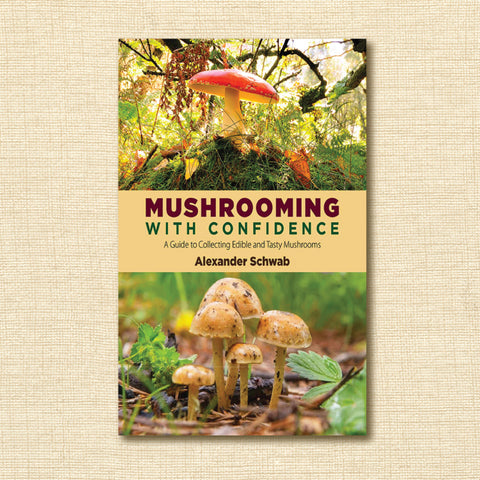 Mushrooming with Confidence: A Guide to Collecting Edible and Tasty Mushrooms