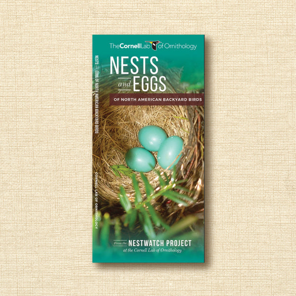Folding Pocket Guide - Nests and Eggs of North America