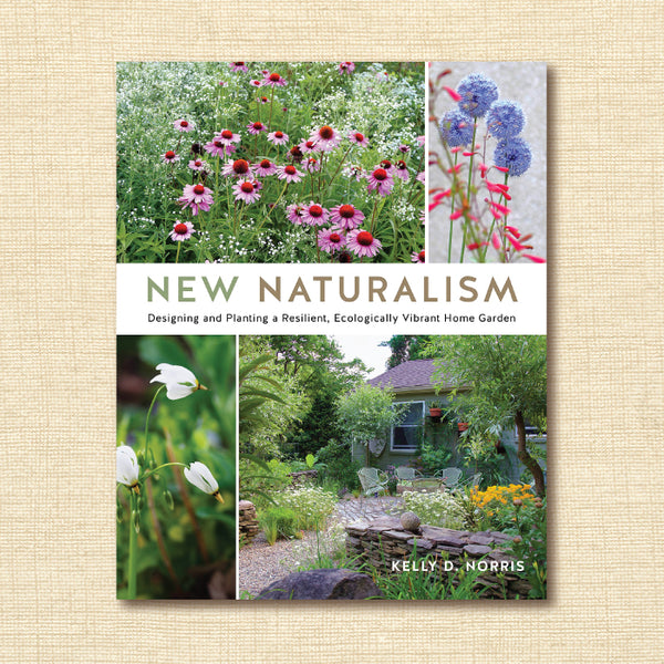 New Naturalism