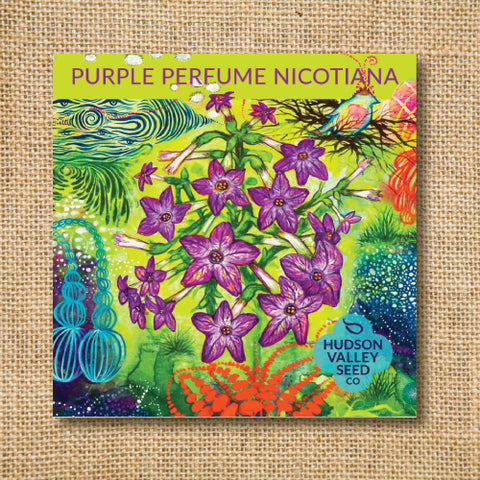 Seeds - Art Pack - Purple Perfume Nicotiana OG