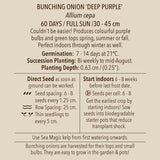 Seeds - Onion, Deep Purple Bunching OG (SGH)