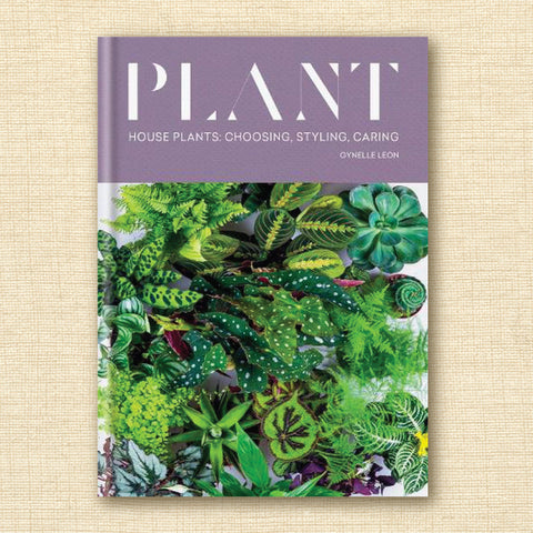 Plant: House Plants: Choosing, Styling, Caring