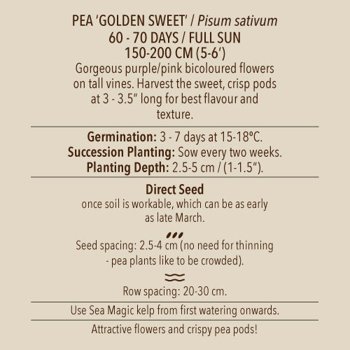 Seeds - Pea (Snow), Golden Sweet OG (SGH)