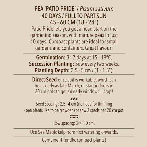 Seeds - Pea (Snap), Patio Pride OG (SGH)
