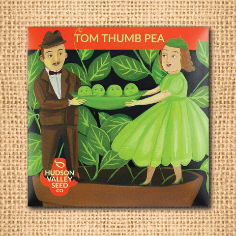 Seeds - Art Pack - Peas, Tom Thumb OG