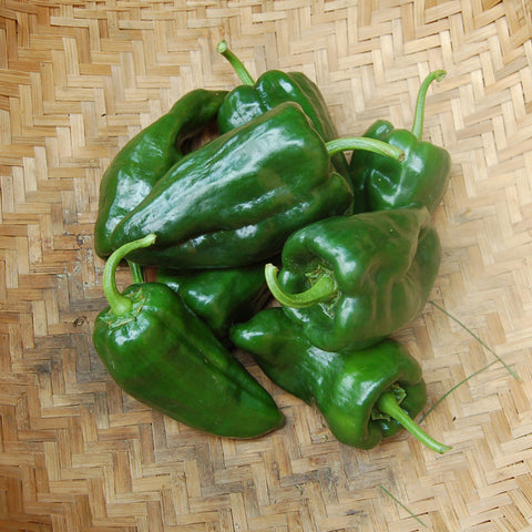 Organic Ancho Poblano Pepper