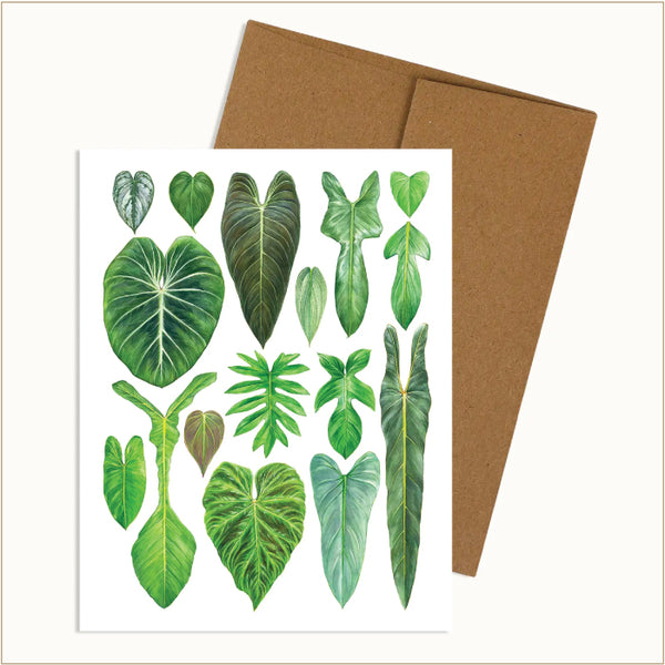 SALE! Aaron Apsley Note Card - Philodendron Species