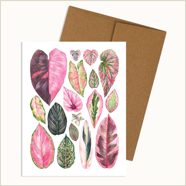 Aaron Apsley Note Card - Pink Houseplants