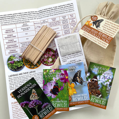 ReWilding - Pollinator Playground Seed Collection - Annuals to Start Indoors