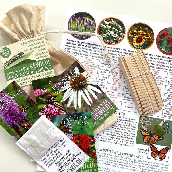 ReWilding - Pollinator Playground Seed Collection - Perennials to Start Indoors