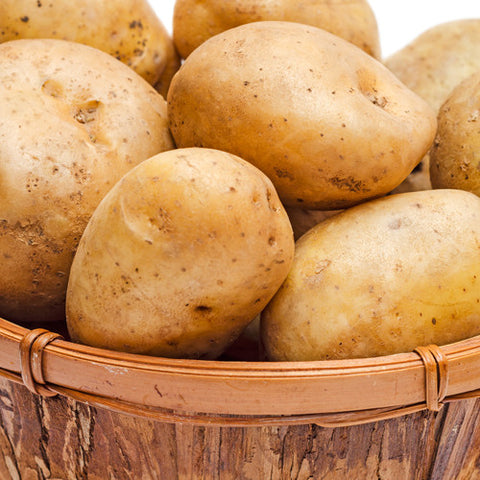 Seed Potato - Yukon Gold (Certified Organic)