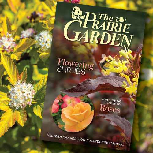The 2021 Prairie Garden: Flowering Shrubs, with a Special Feature on Roses