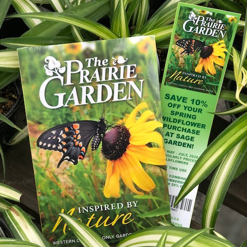 The Prairie Garden: Inspired By Nature at Sage Garden
