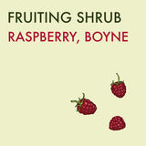 Raspberry, Boyne - 1-gallon - ORCHARD PREORDER FOR LATE MAY 2024