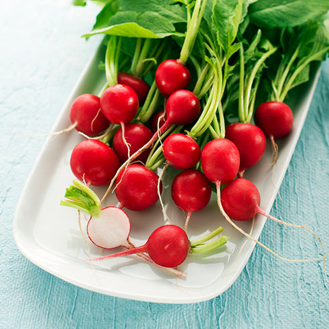 Radish, Sora (Organically Grown Seeds)