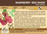 Raspberry, Red River (1-gallon)