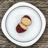 Seed Potato - Roko Red (Certified Organic)