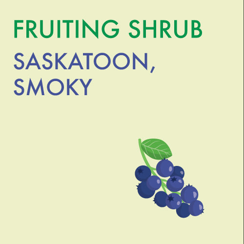 Saskatoon, Smoky (2-gallon)