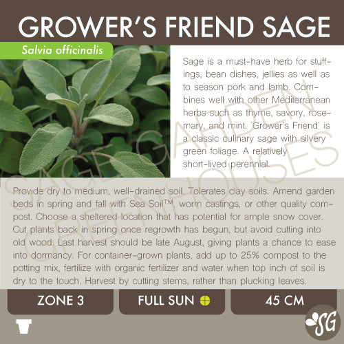 Live Plant - Sage, Grower's Friend