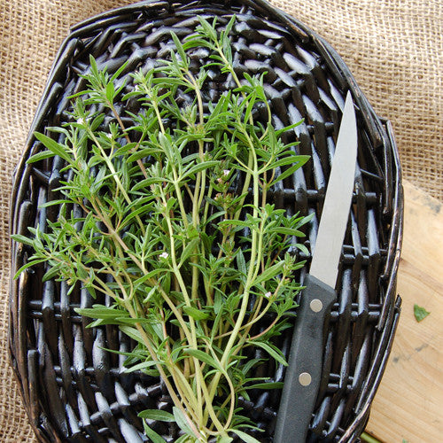 Organic Summer Savory