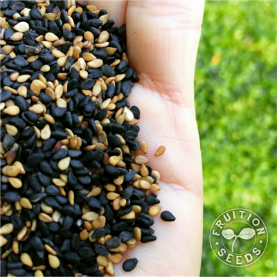 Seeds - Sesame, Black and Tan OG (F)