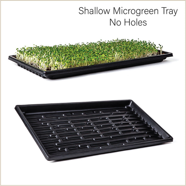 SunBlaster™ Shallow 1020 Microgreen Tray - No Drainage Holes