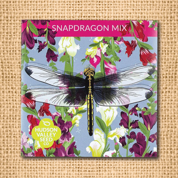 Seeds - Art Pack - Snapdragon Mix OG