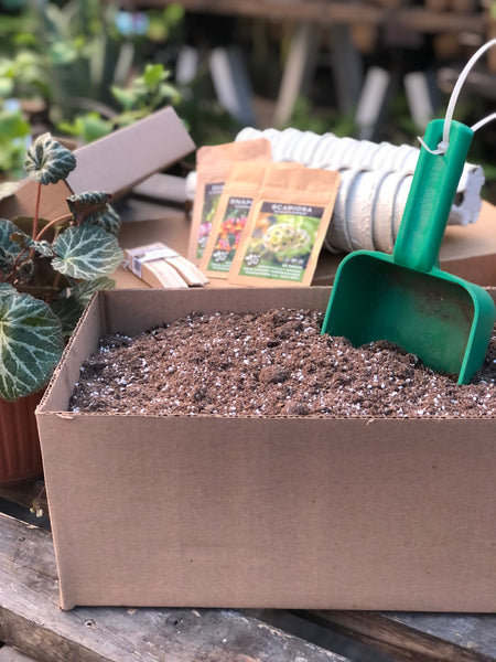 Soil in a box! - 10 L Organic Seeding and Potting mix
