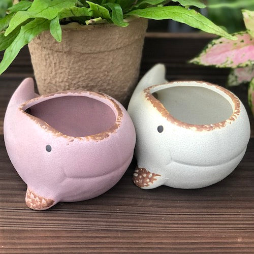 Ceramic Planter (with Drainage Hole) - Whale