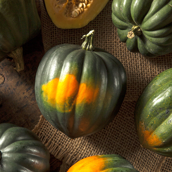 Seeds - Squash (Winter), Table Queen Acorn OG (SGH)