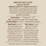 Seeds - Sweet Pea, Blue Celeste OG (SGH)