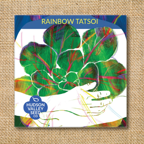 Seeds - Art Pack - Tatsoi, Rainbow OG