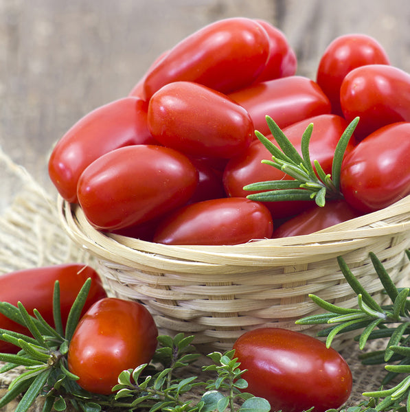 Seeds - Tomato (Cherry), Baby Roma OG (SGH)
