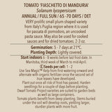 Tomato (Regular), Fiaschetto di Manduria (Naturally Grown Seed)