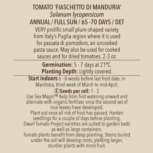 Tomato (Regular), Fiaschetto di Manduria (Naturally Grown Seed)