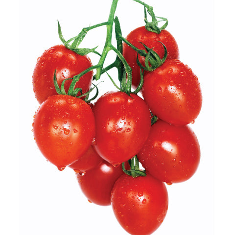Seeds - Tomato (Cherry), Gardener's Sweetheart OG (SGH)