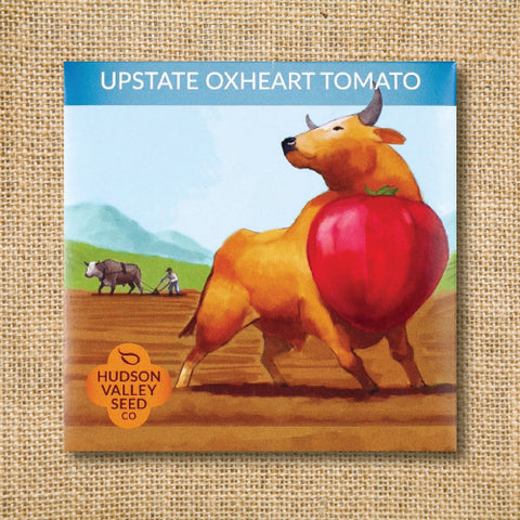 Seeds - Art Pack - Upstate Oxheart Tomato OG