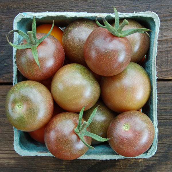 Organic Black Cherry Tomato