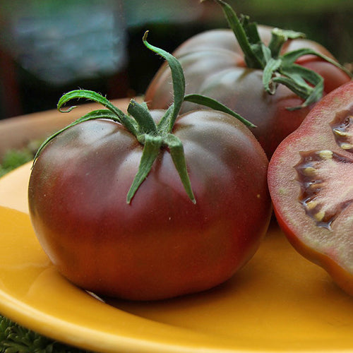 Tomato (Regular), Cherokee Purple (Certified Organic Seeds)