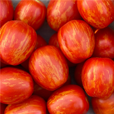 Seeds - Tomato (Cherry), Cherry Ember OG (F)