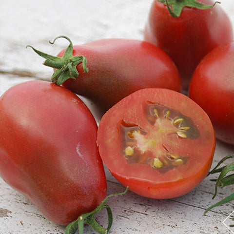 Seeds - Tomato (Cherry), Evan's Purple Pear OG (SGH)