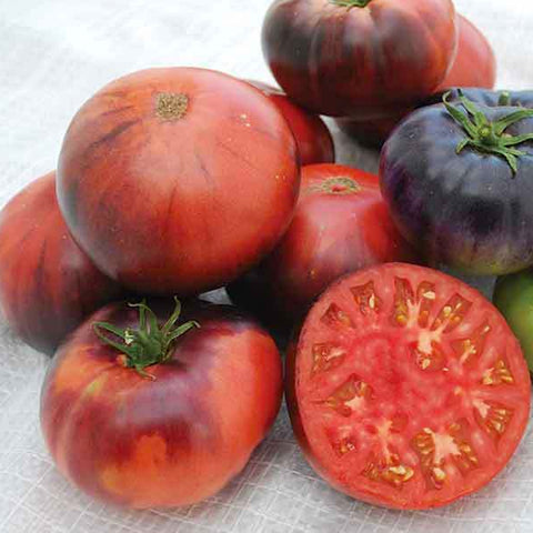 Seeds - Tomato (Regular), Indigo Blue Beauty OG (SGH)