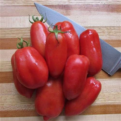 Seeds - Tomato (Regular), Ten Fingers of Naples OG (F)