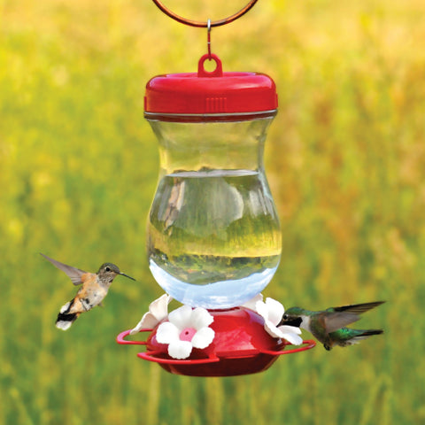 Top Fill Hummingbird Feeder Glass 24Oz