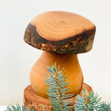 Black Forest Wood Decor Piece - Mushroom